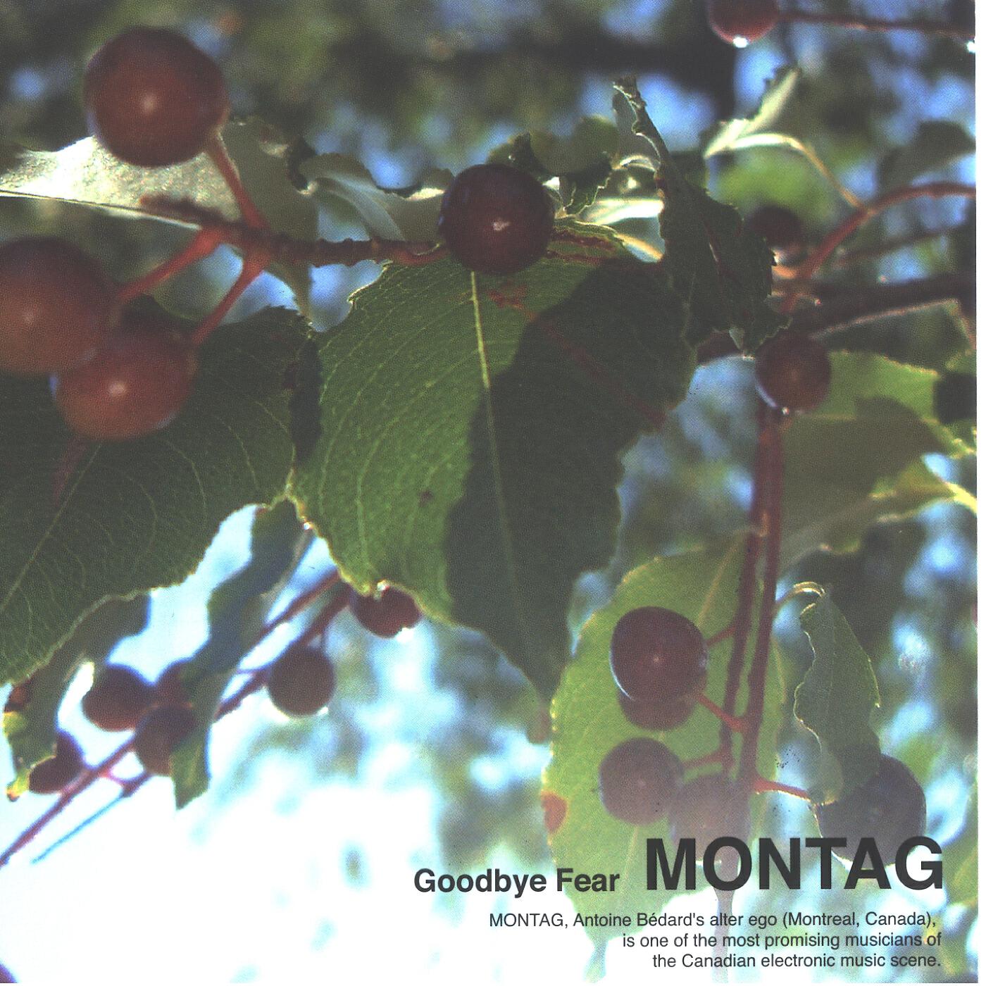 Montag - Demi-Nocturne