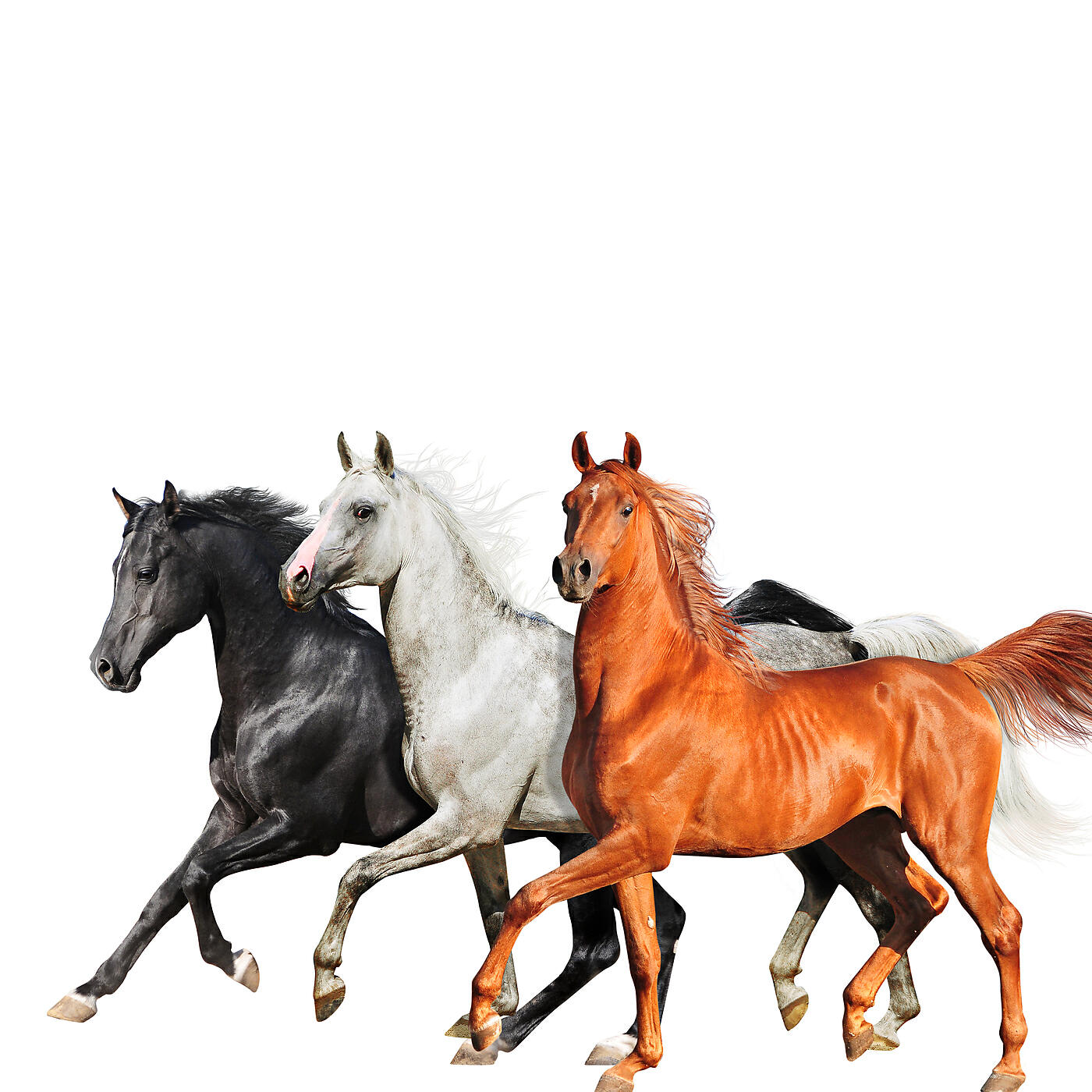 Lil Nas X - Old Town Road (Diplo Remix)