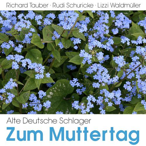 Willy Schneider - Weit du, Mutterl, was i täumt hab?