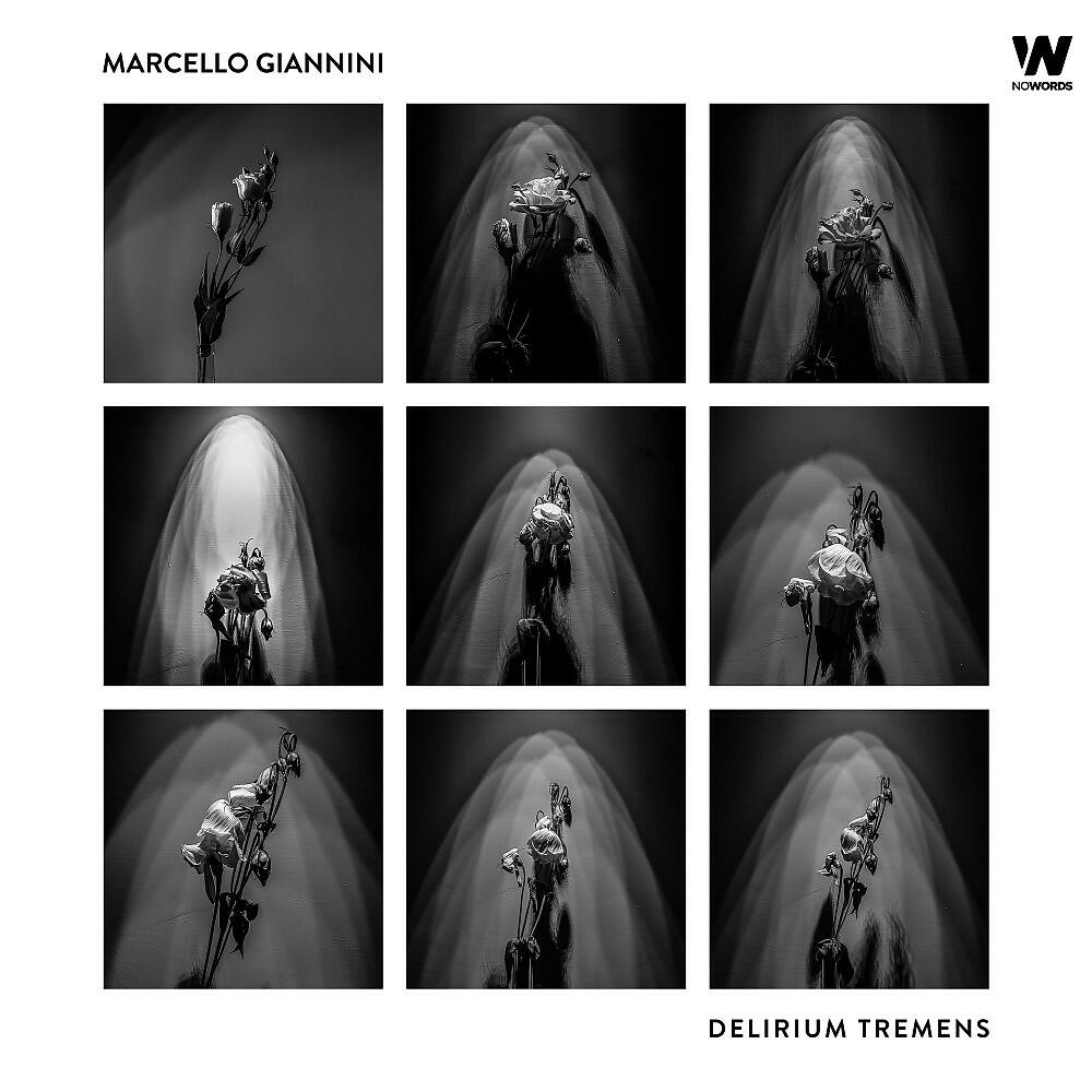 Marcello Giannini - Jakko