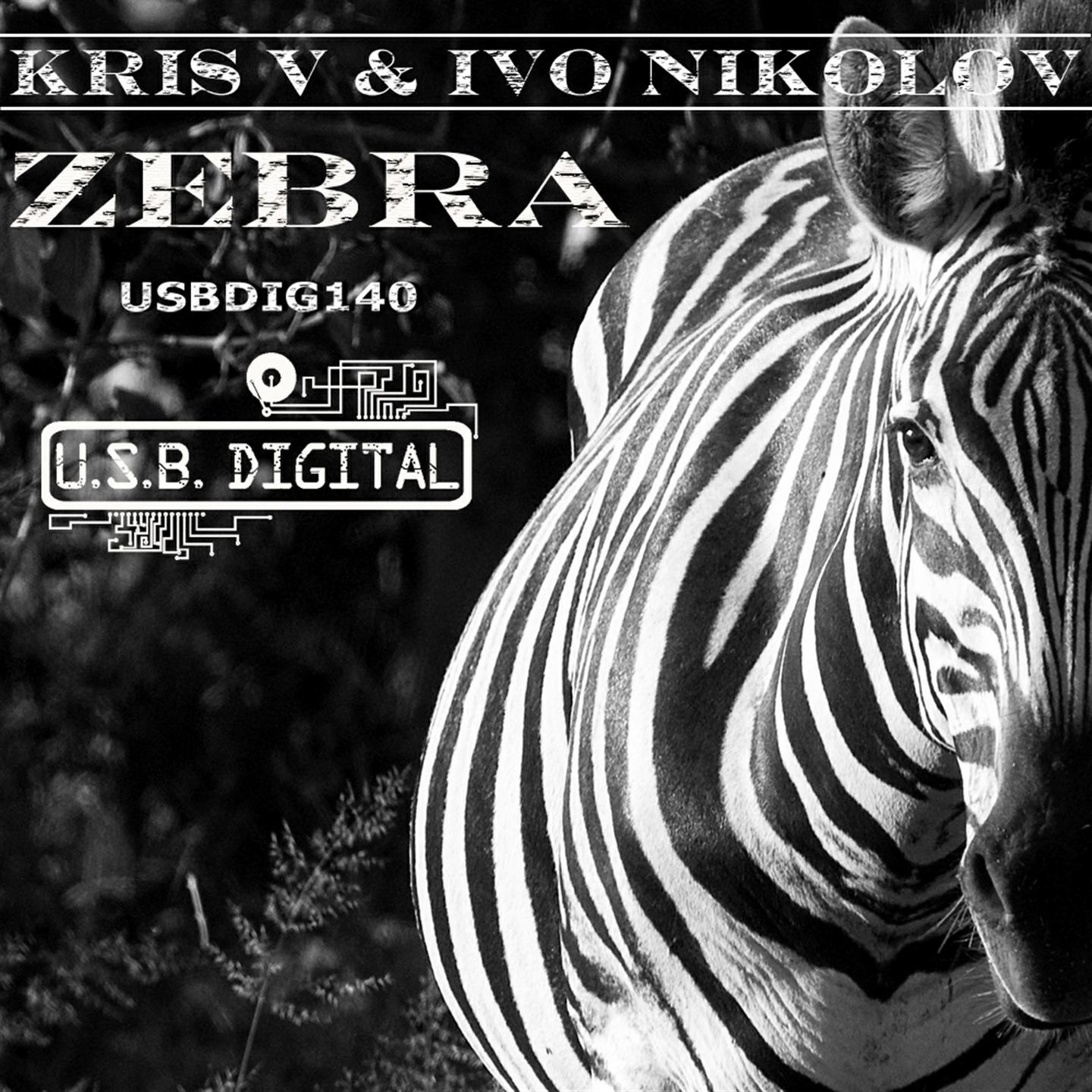 Kris V - Zebra (Radio Edit)
