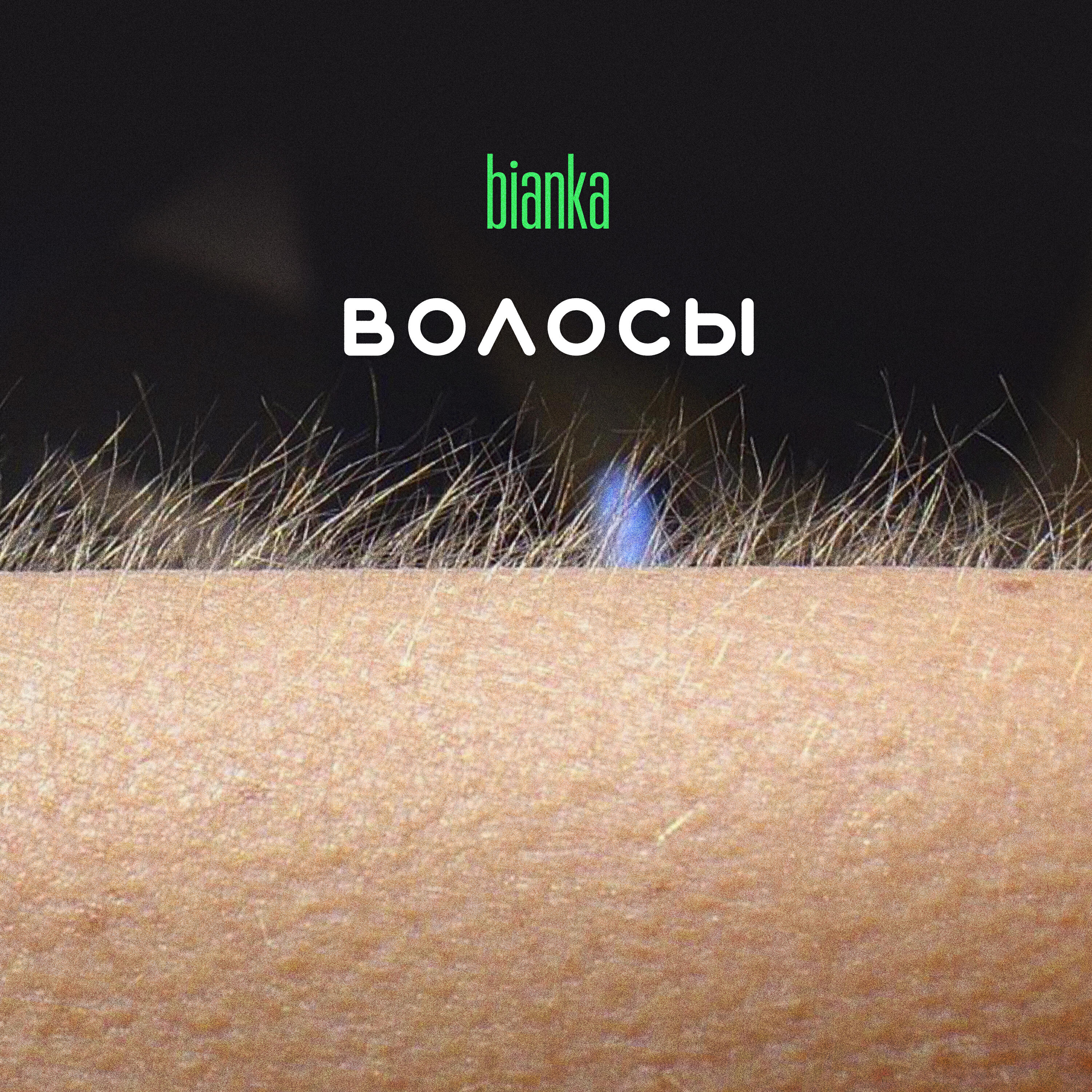 Бьянка - Волосы