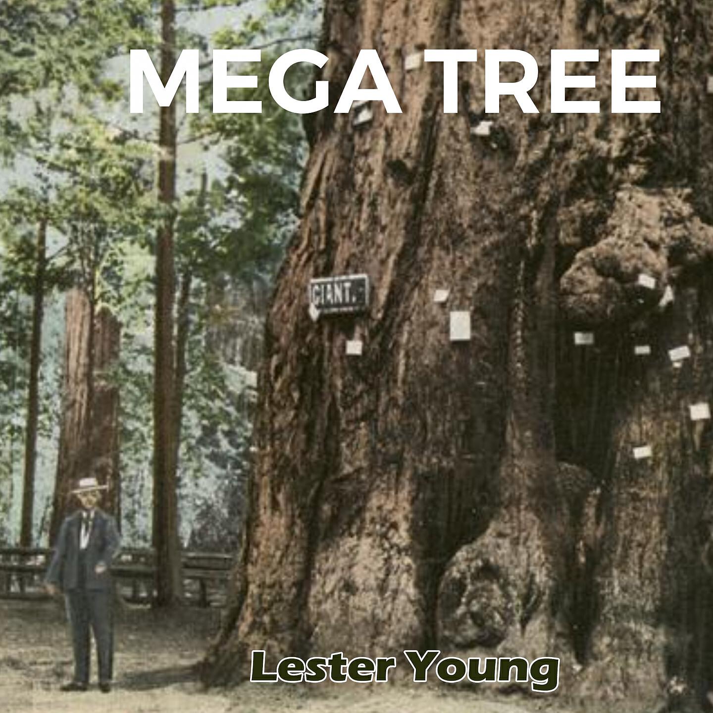 Lester Young & Harry Edison - Mean To Me
