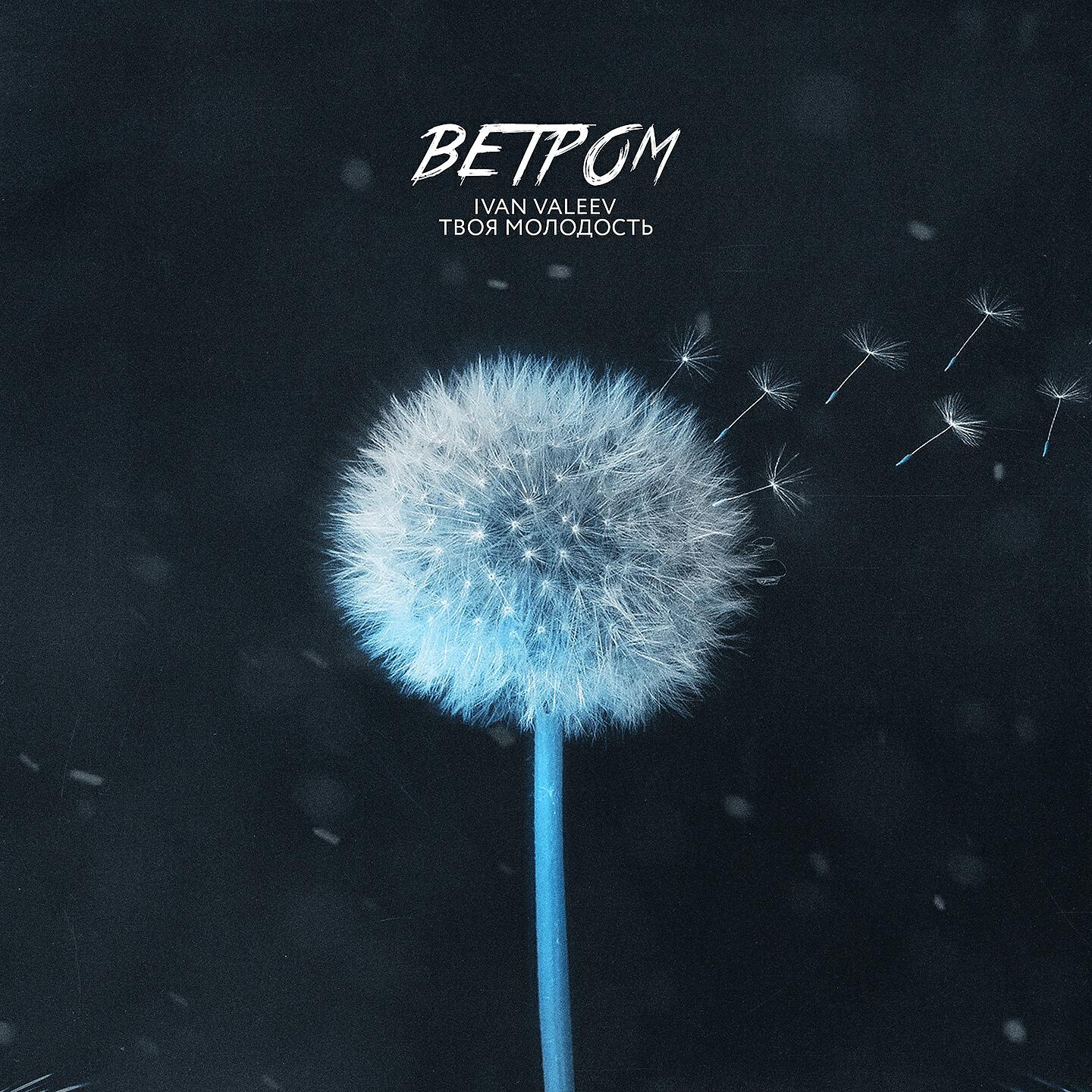 IVAN VALEEV - Ветром