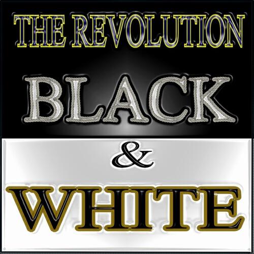 The Revolution - The Singer