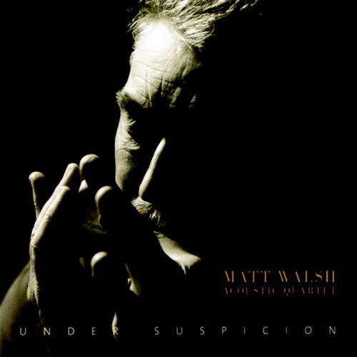 Matt Walsh Acoustic Quartet - Working Stiff