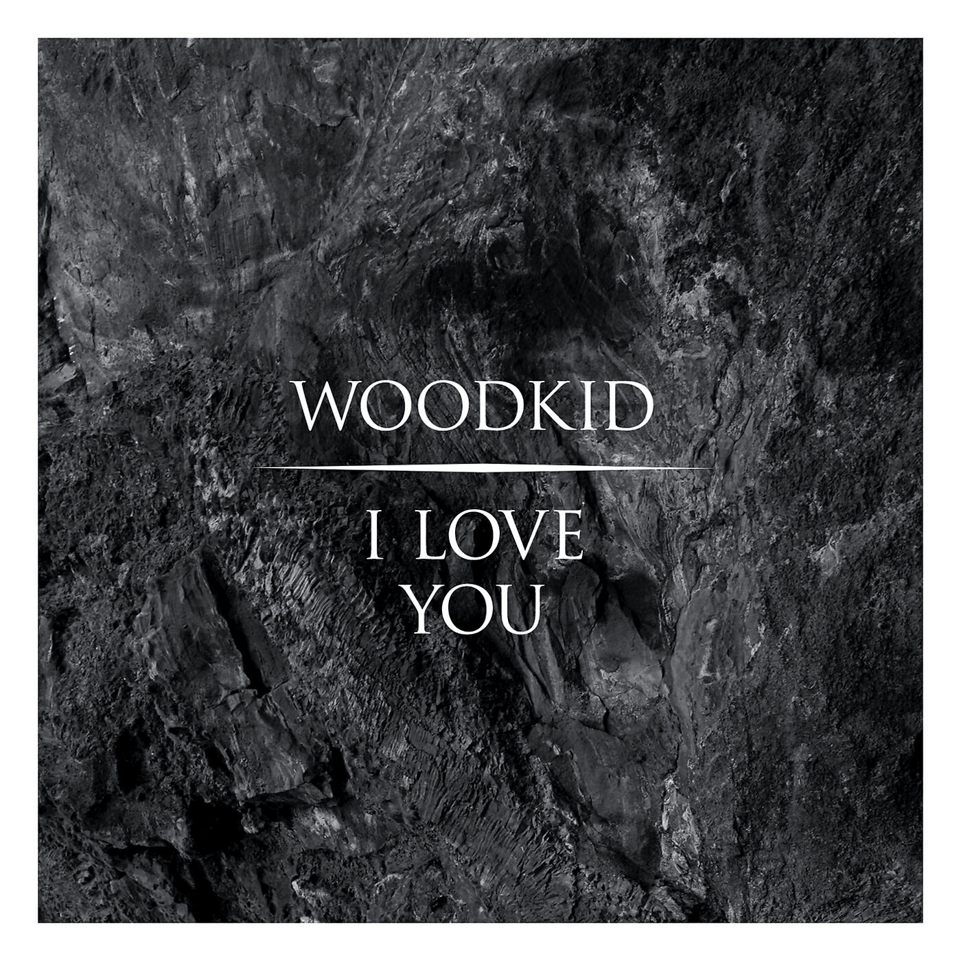 Woodkid - I Love You (Booka Shade Remix)