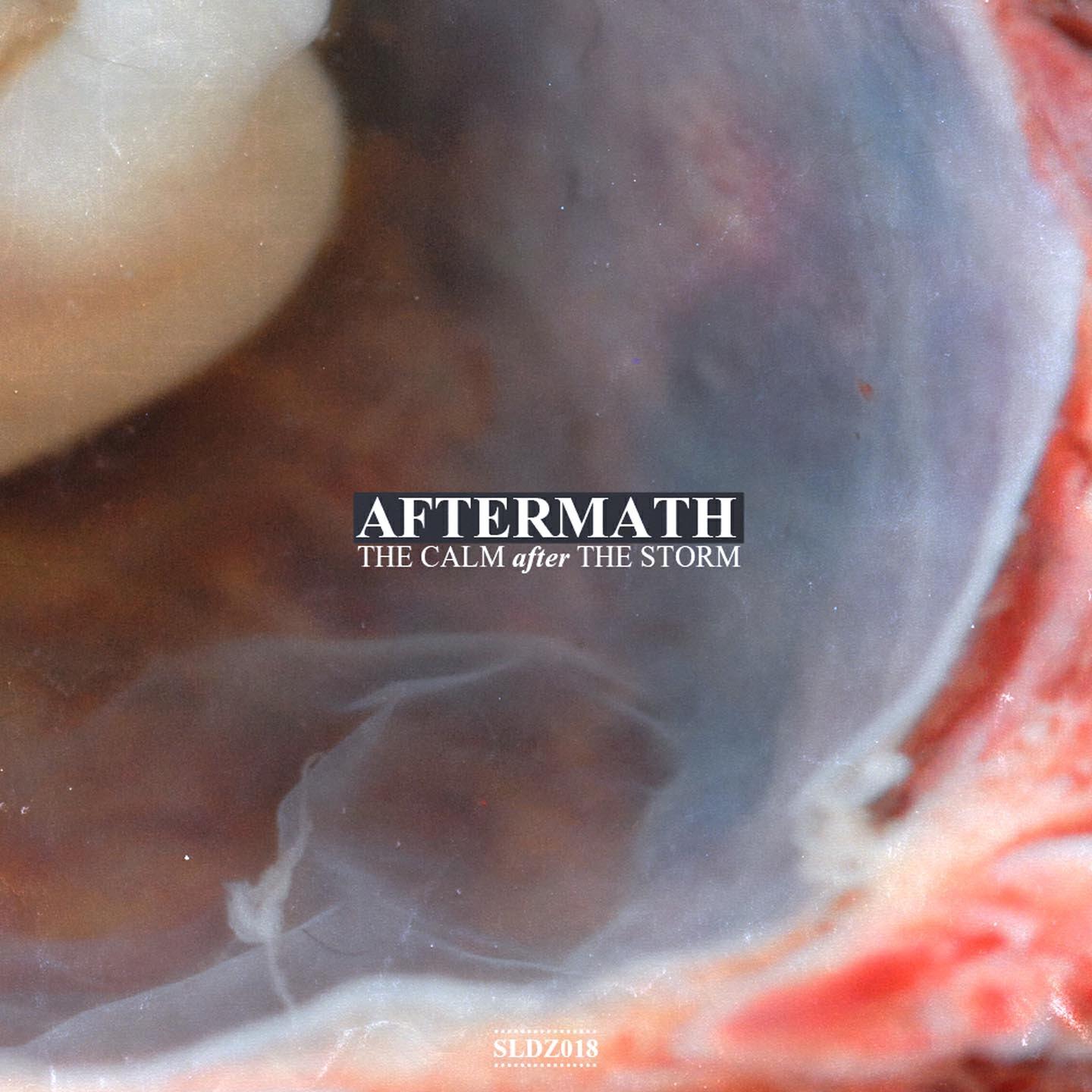 STAS - Last Day On Earth
