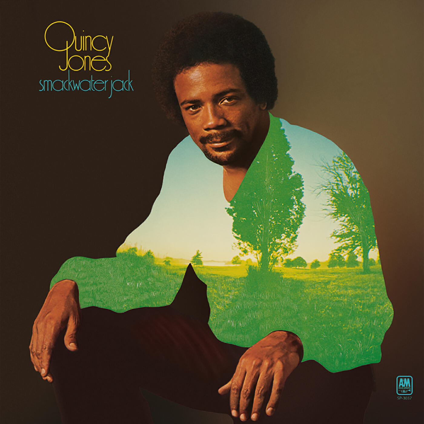 Quincy Jones - Smackwater Jack