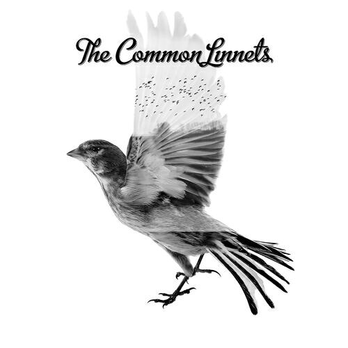 The Common Linnets - Give Me A Reason