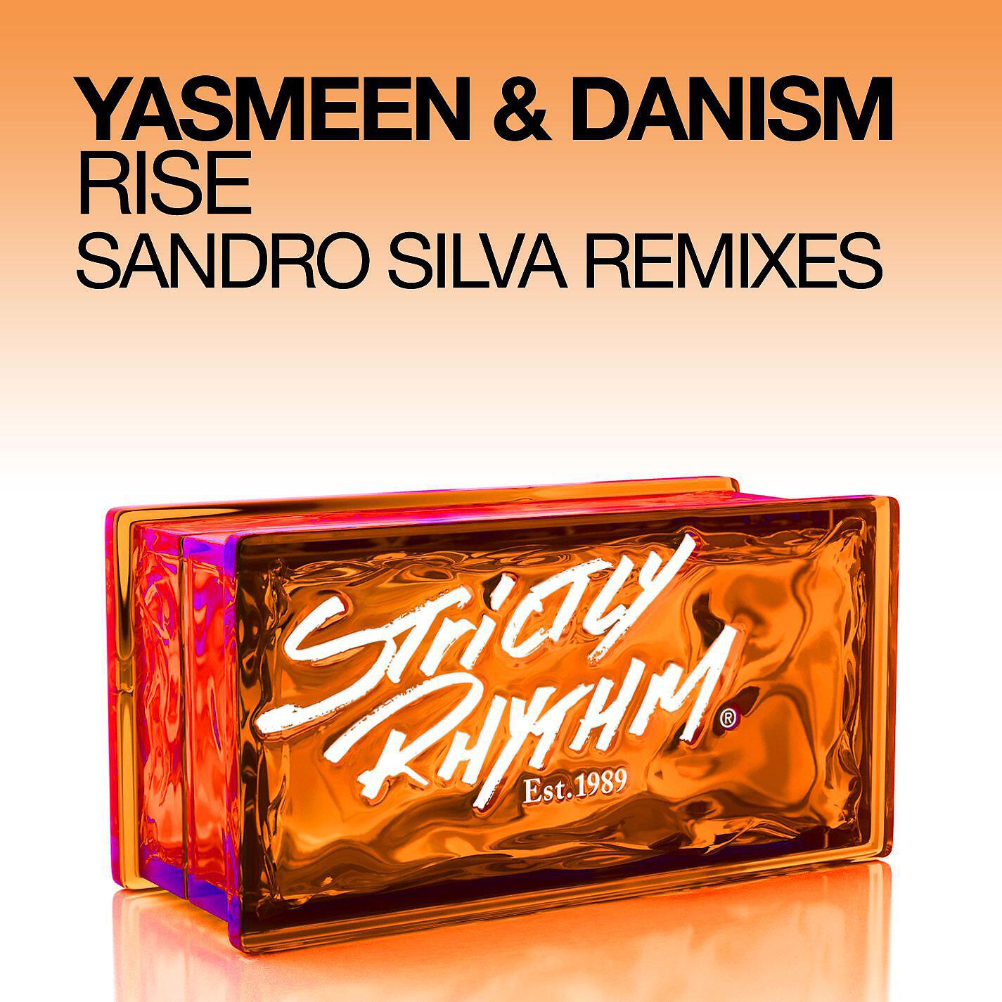 Yasmeen - Rise (Sandro Silva Instrumental)