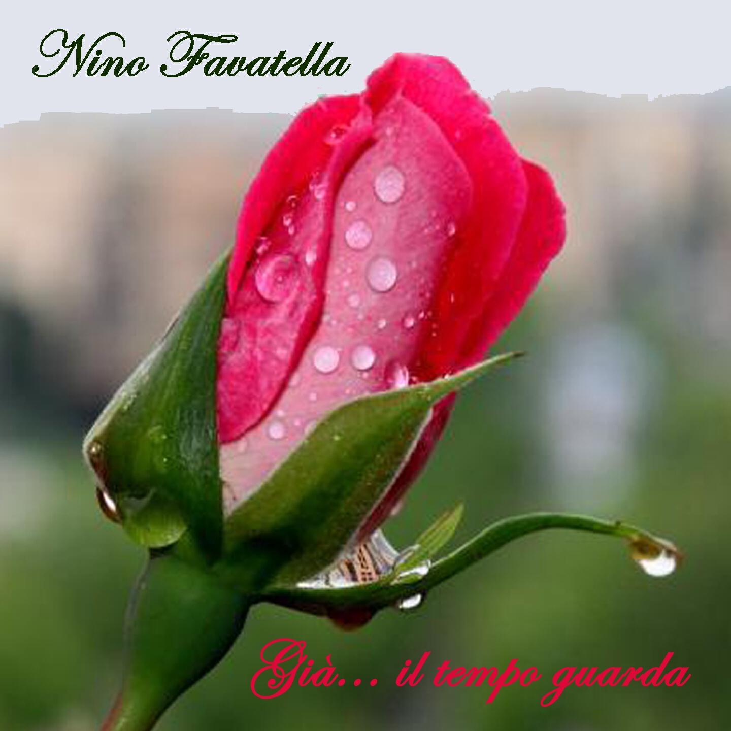 Nino Favatella - Buchi a terra