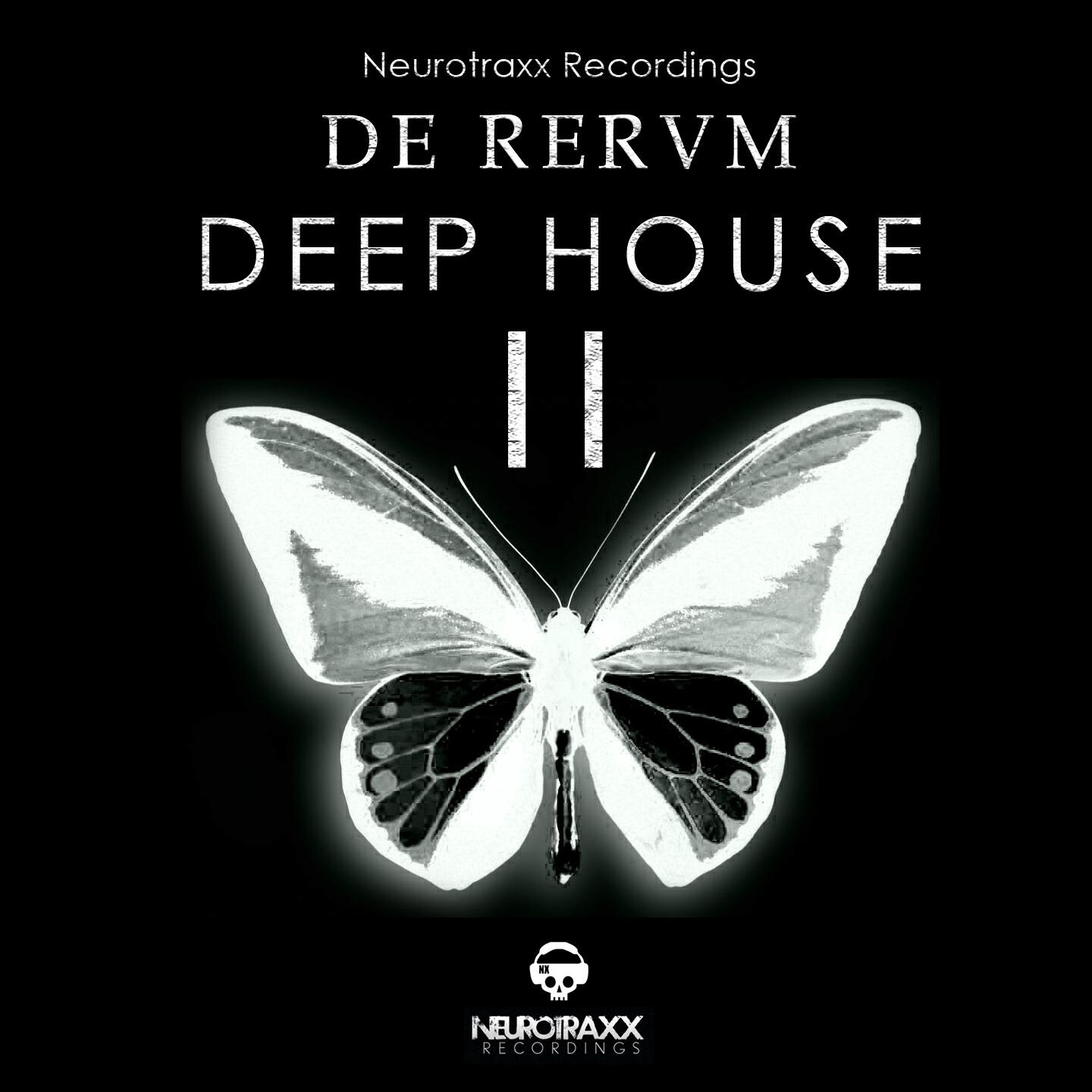 Tiger Stripes - One by One (Aki Bergen Dub Mix)