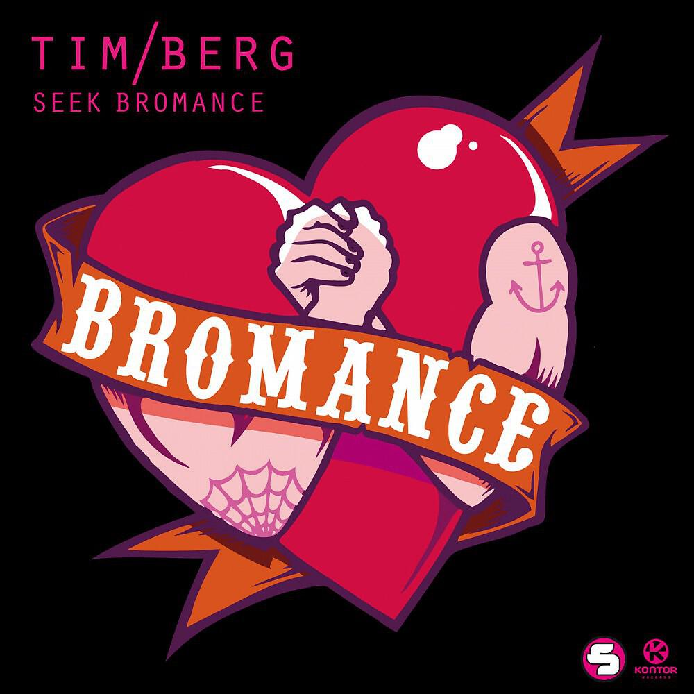Tim Berg - Seek Bromance (Avicii Vocal Edit)