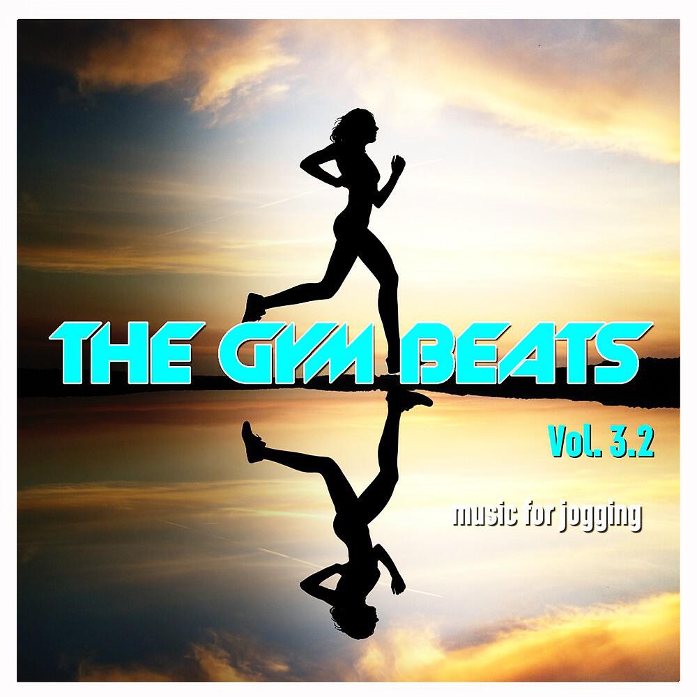 THE GYM BEATS - Skydiver