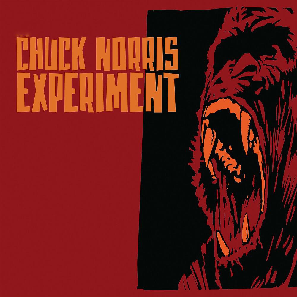 Chuck Norris Experiment - I'm the Law