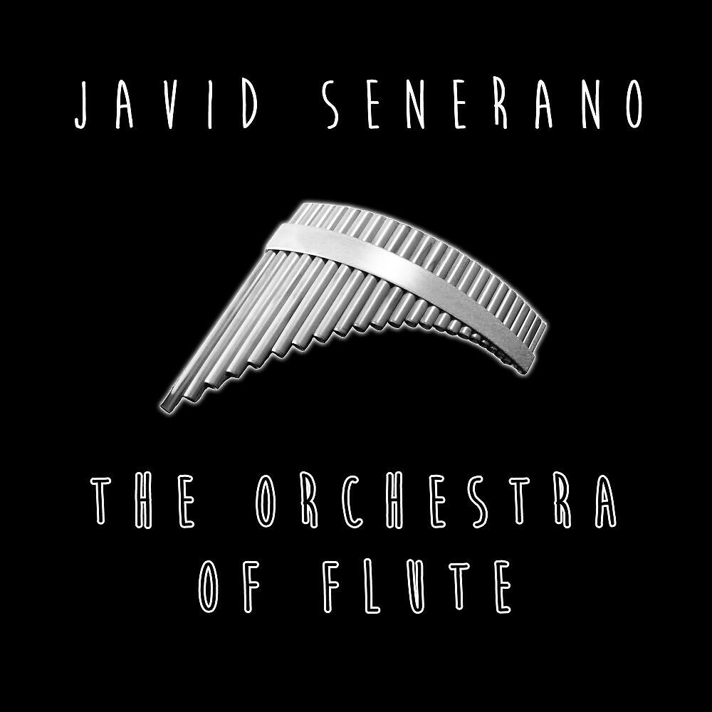 Javid Senerano - The Orchestra of Flute (Radio Edit)