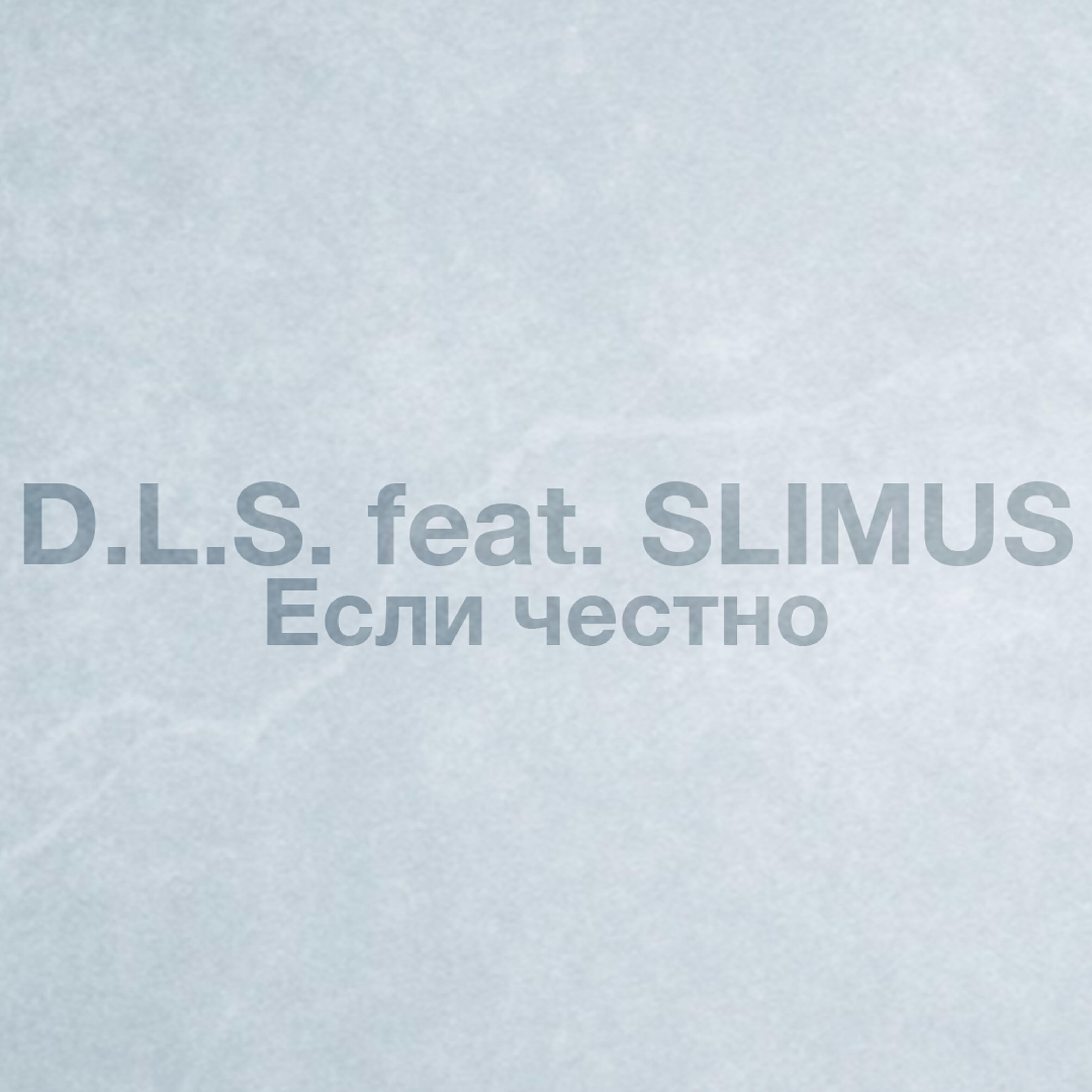 D.L.S. - Если честно