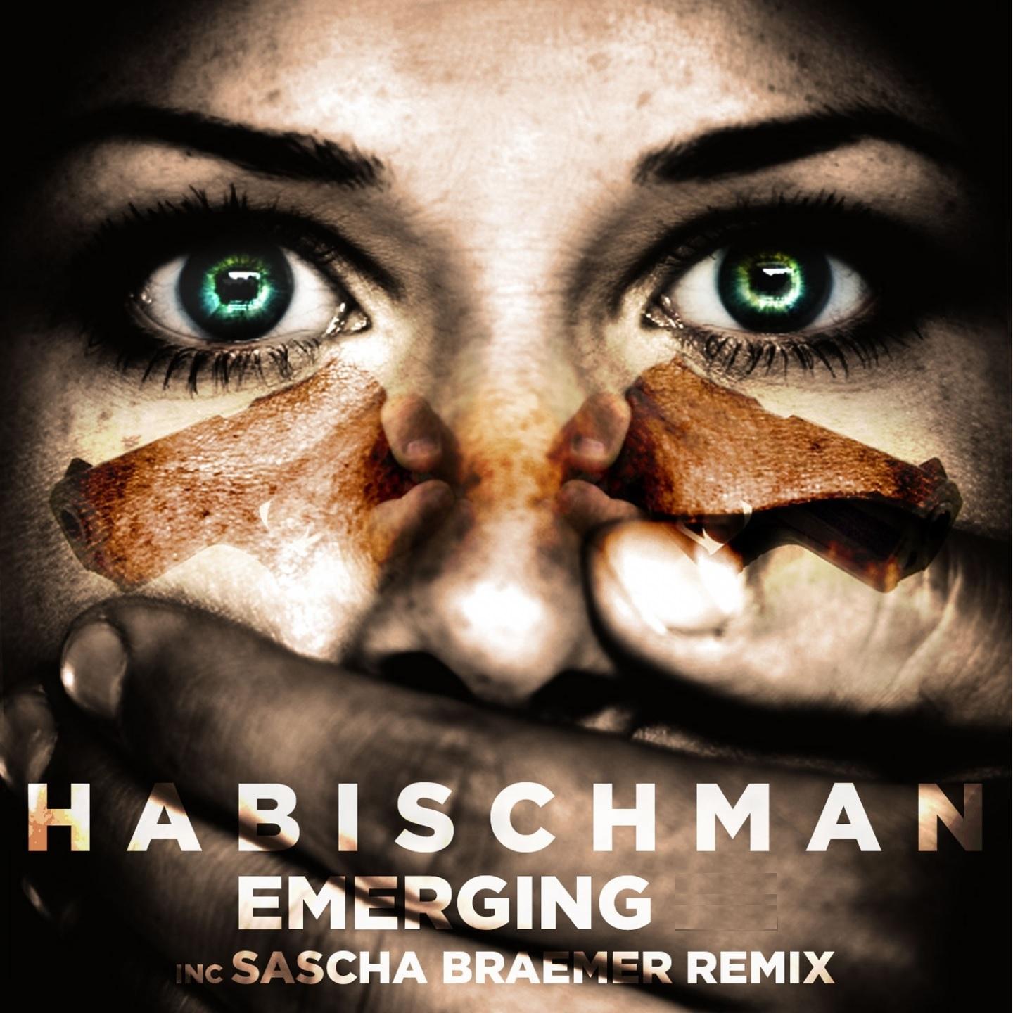 Habischman - Defences