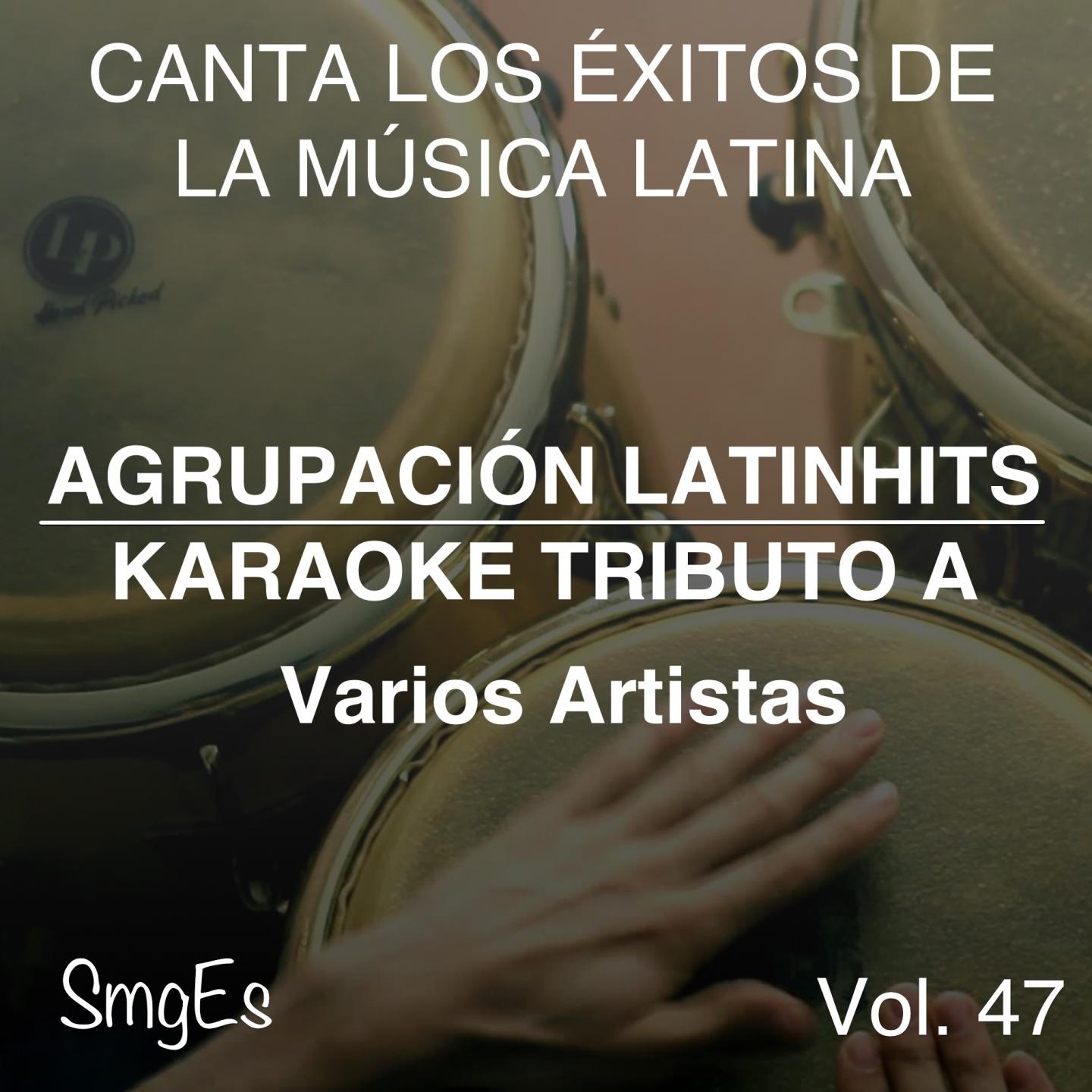 Agrupacion LatinHits - Hony Tu Si Jony (In the Style of Kinito Mendez)