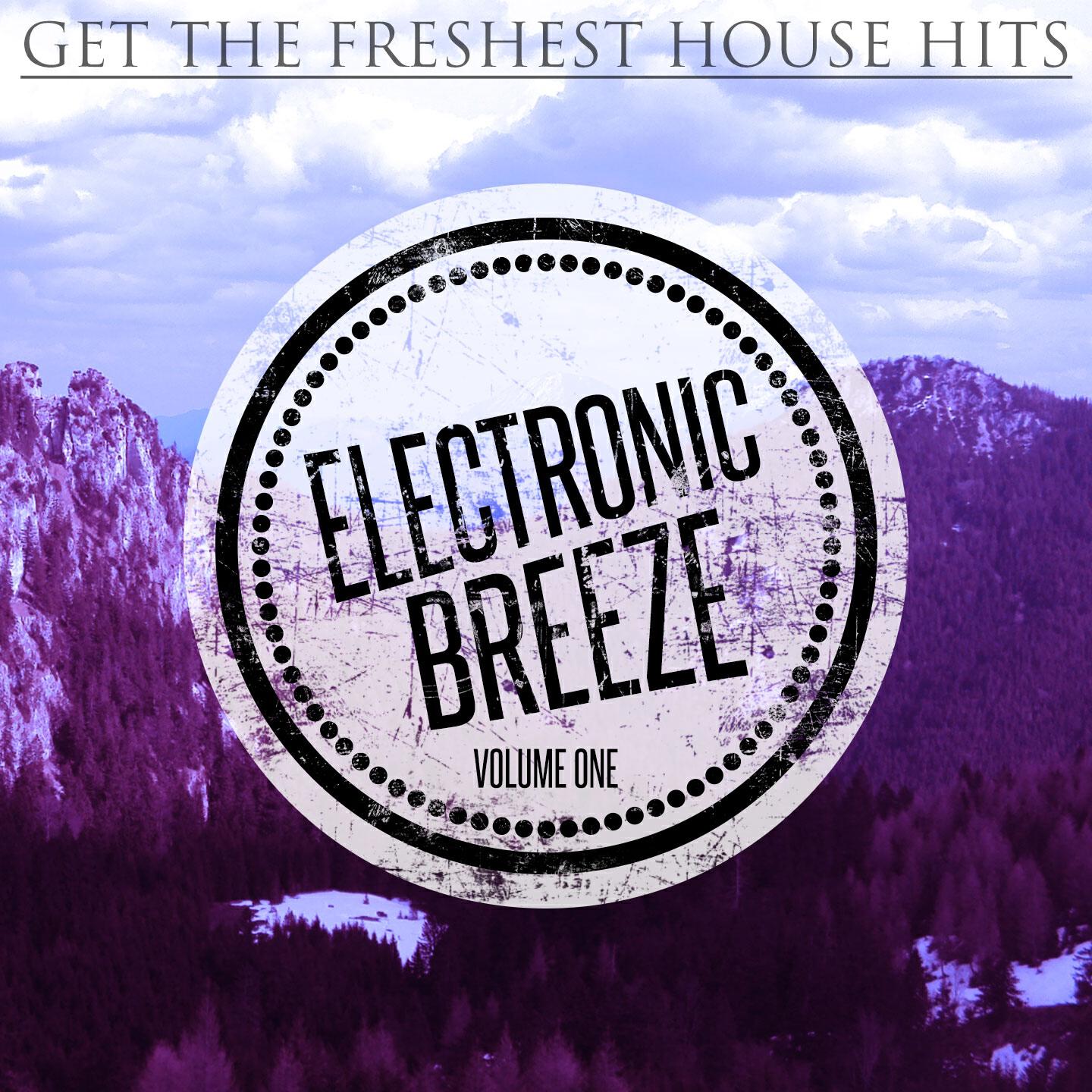Disco Ballz - One Flava