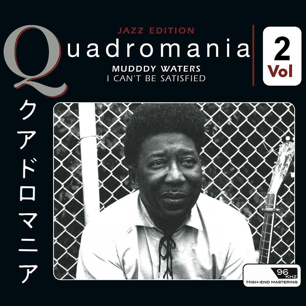 Muddy Waters - Burying Ground Blues