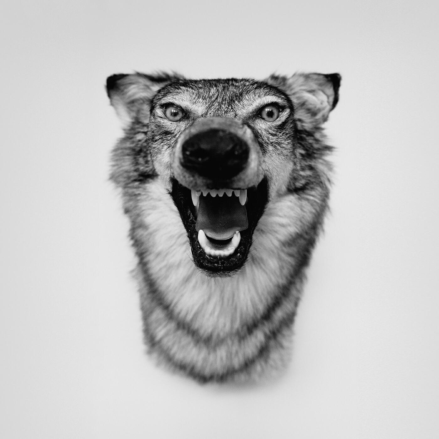 YelaWolf - Tennessee Love
