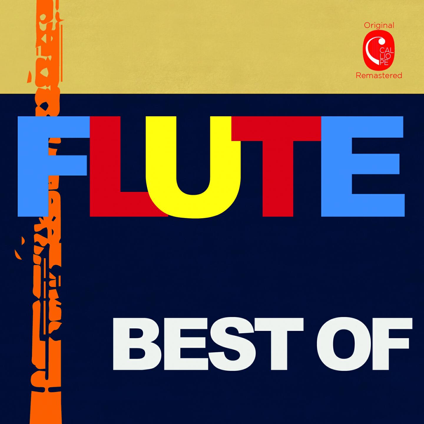 Ensemble Instrumental La Follia - Concerto for 2 Flutes in C Major, Op. 47 No. 2, RV 533: I. Allegro