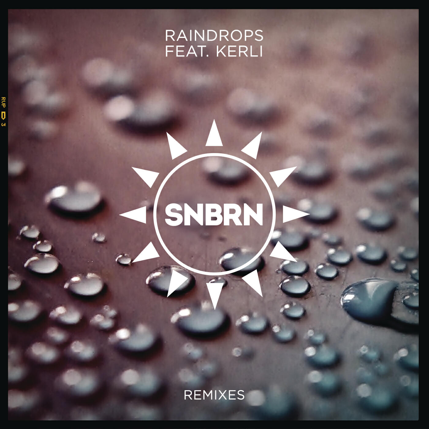 SNBRN - Raindrops (Hotel Garuda Remix)