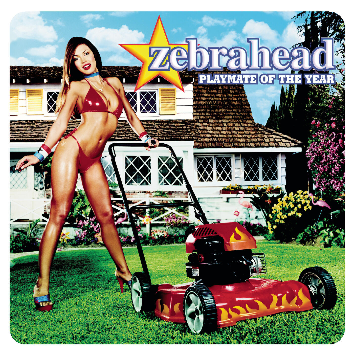 Zebrahead - Go