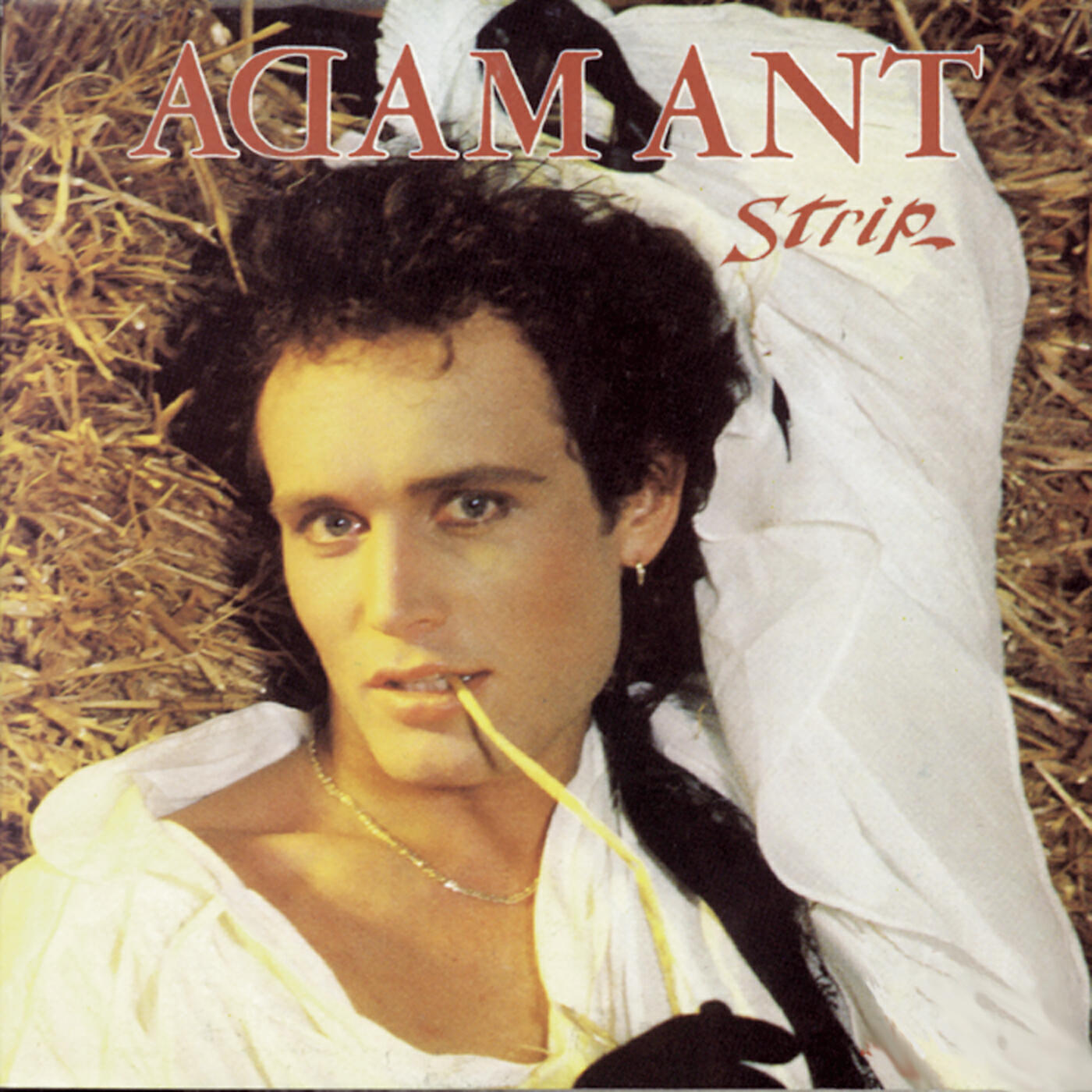 Adam Ant - Playboy (Live Rehearsal 15/1/83)