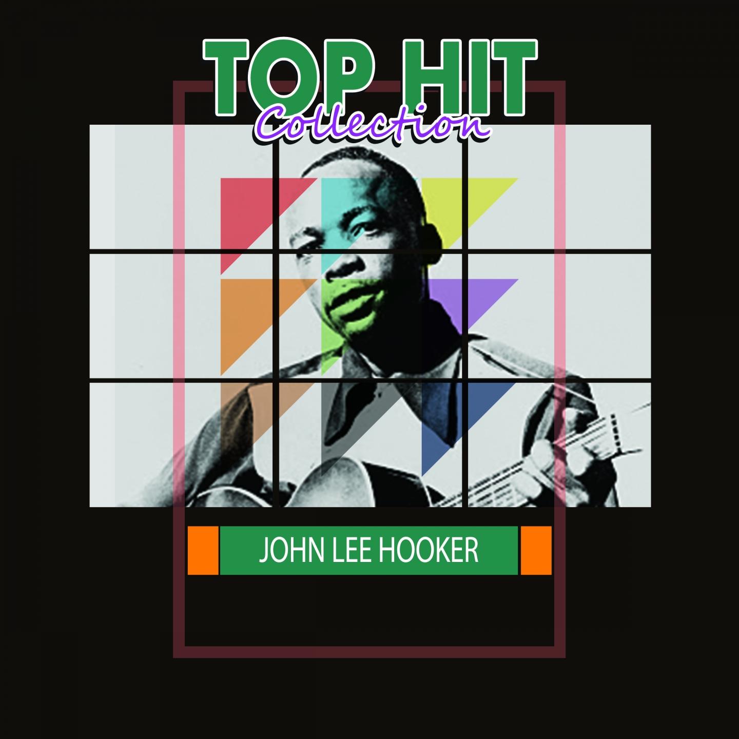 JOHN LEE HOOKER - Black Snake