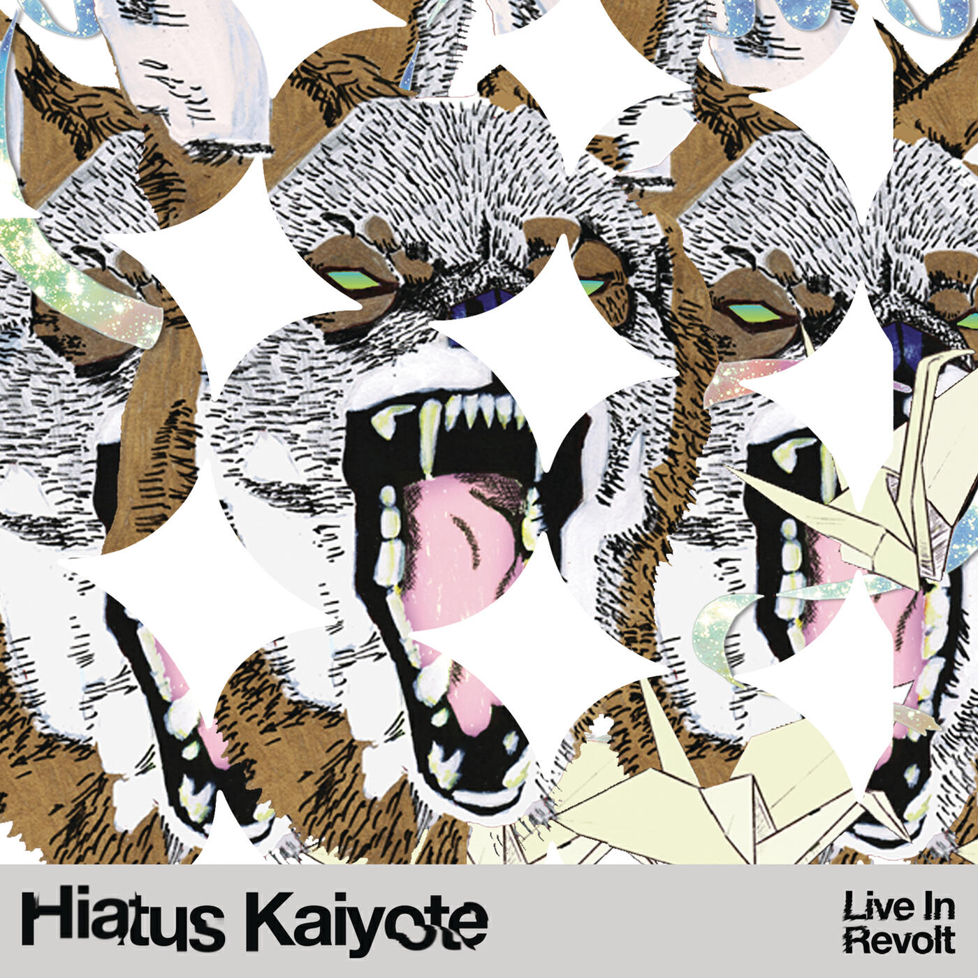 Hiatus Kaiyote - Rainbow Rhodes / Nakamarra