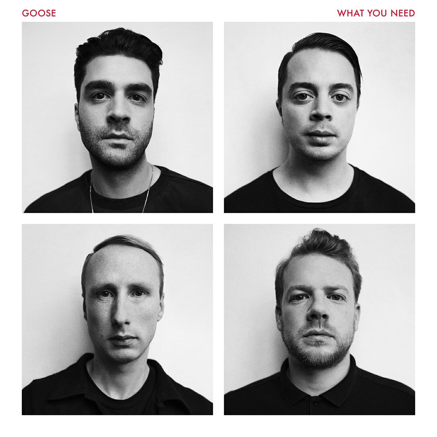 GOOSE - Trip