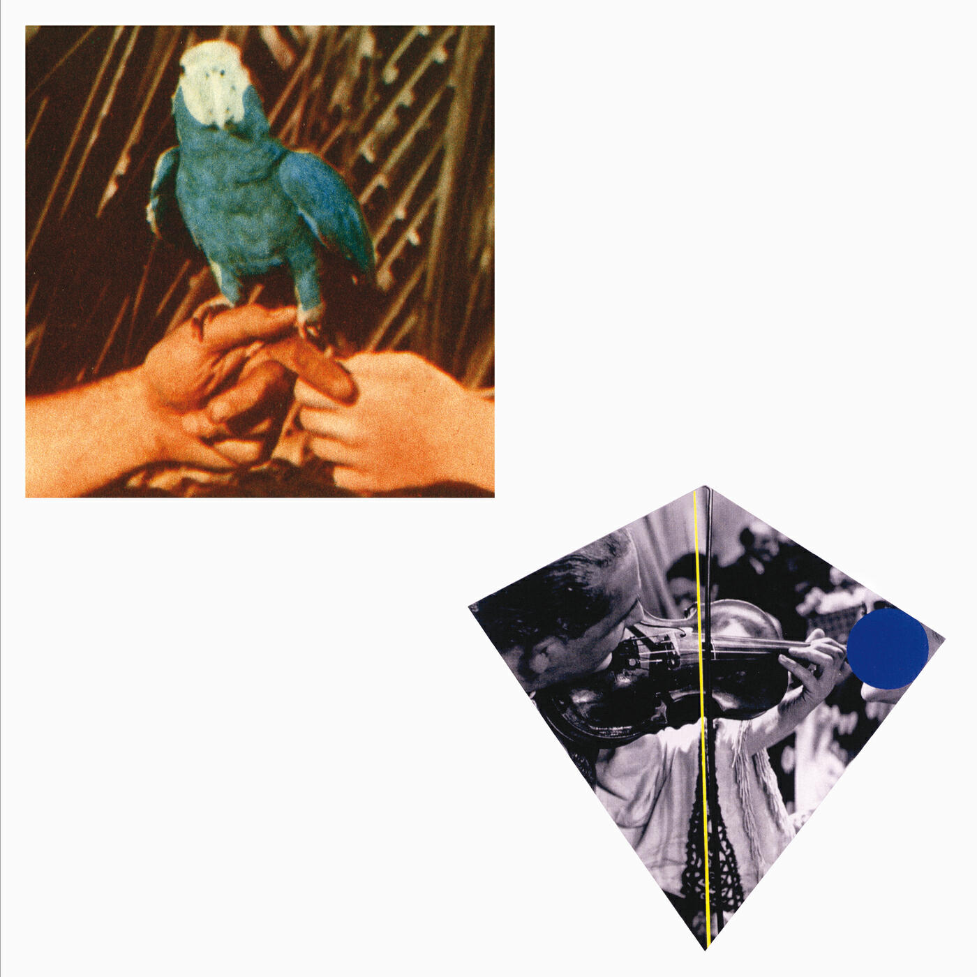 Andrew Bird - Roma Fade