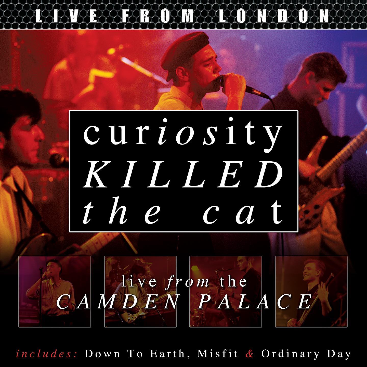 Curiosity Killed The Cat - Hidden Informer