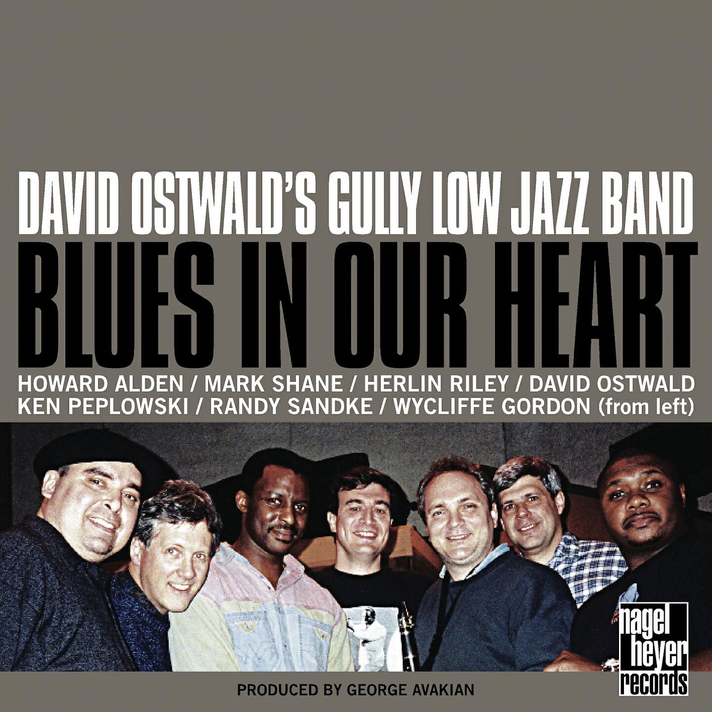David Ostwald - Blues in My Heart