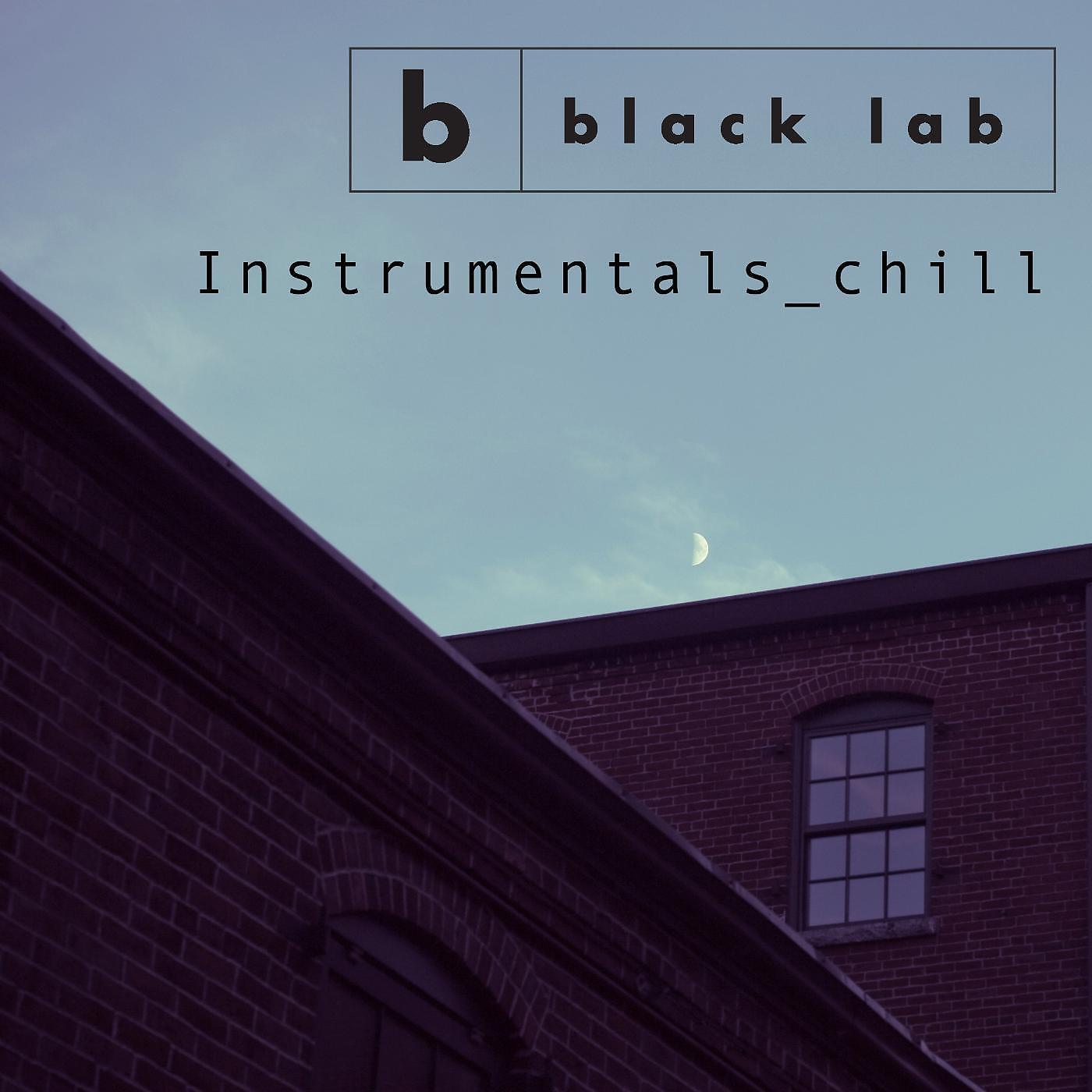 Black Lab - Further (Instrumental)