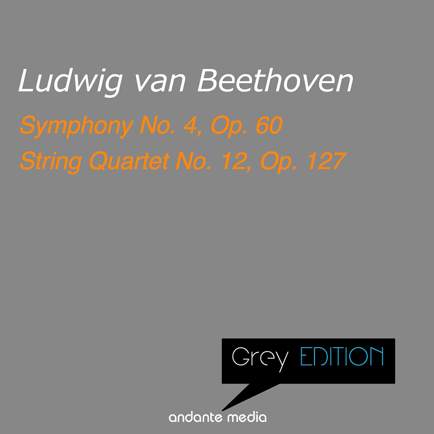 Bamberg Symphony - Symphony No. 4 in B-Flat Major, Op. 60: I. Adagio - Allegro vivace