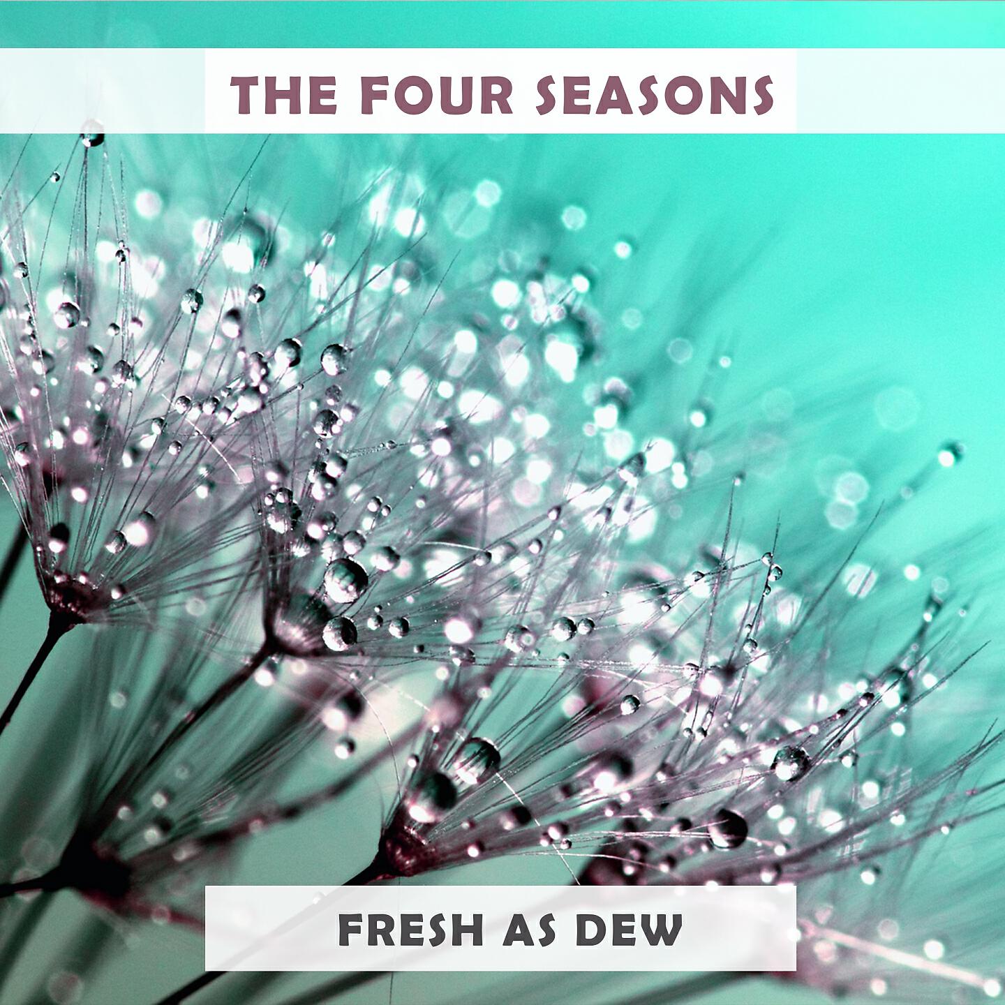 The Four Seasons - Alone (Why Must I Be Alone)