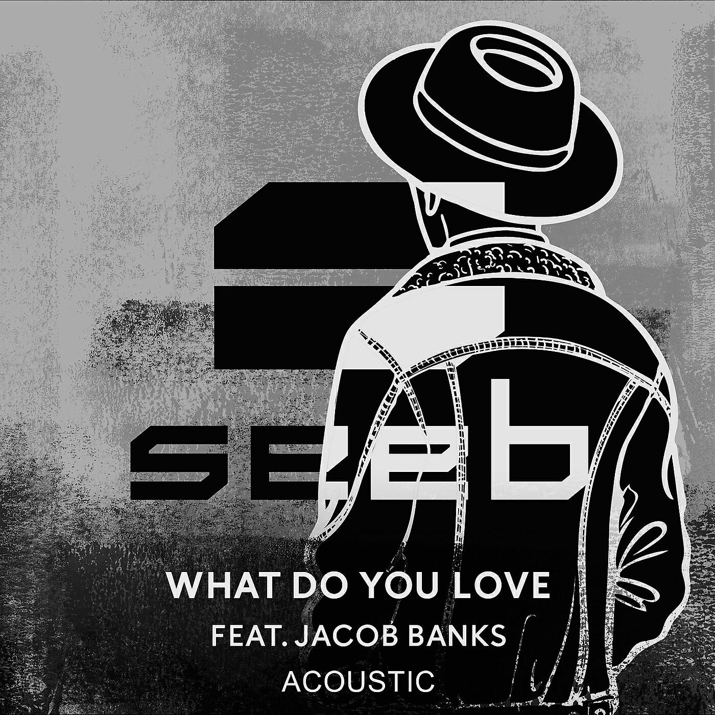 Seeb - What Do You Love (Acoustic)