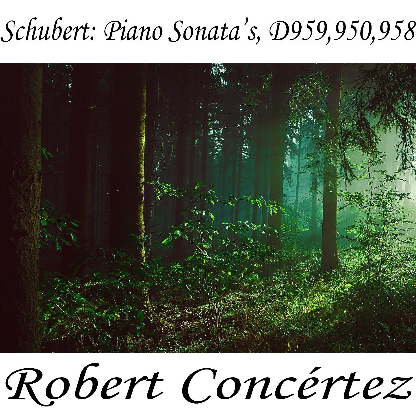 Franz Schubert - Sonata in C minor, D- 958 in A-Flat Major, D958 III- Menuetto Allegro - Trio