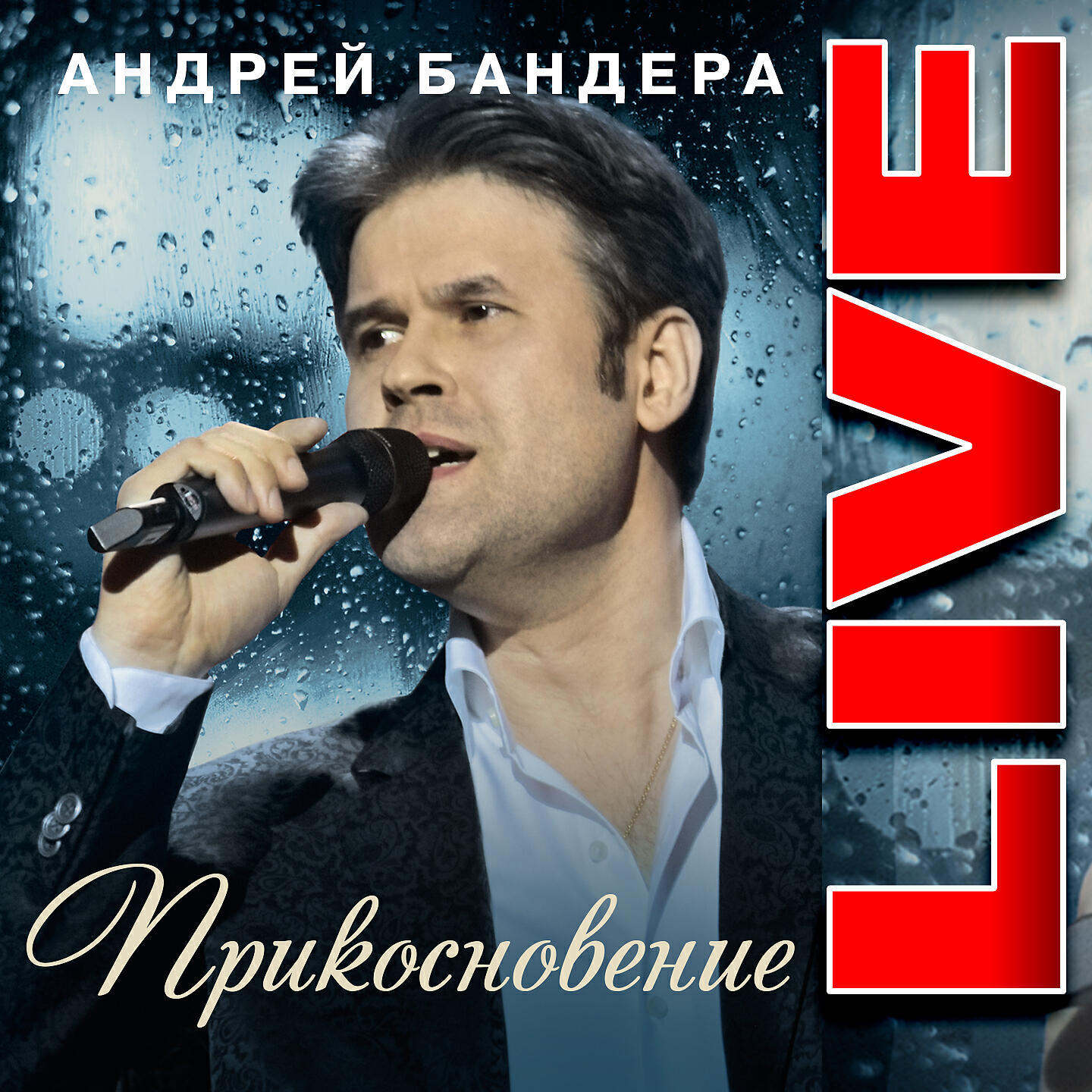 Песня андрея бандеры ивушка
