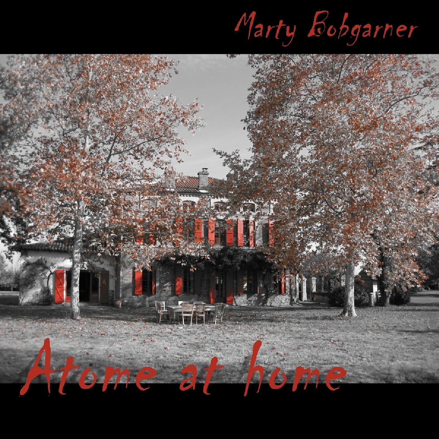 Marty Bobgarner - Lunacy