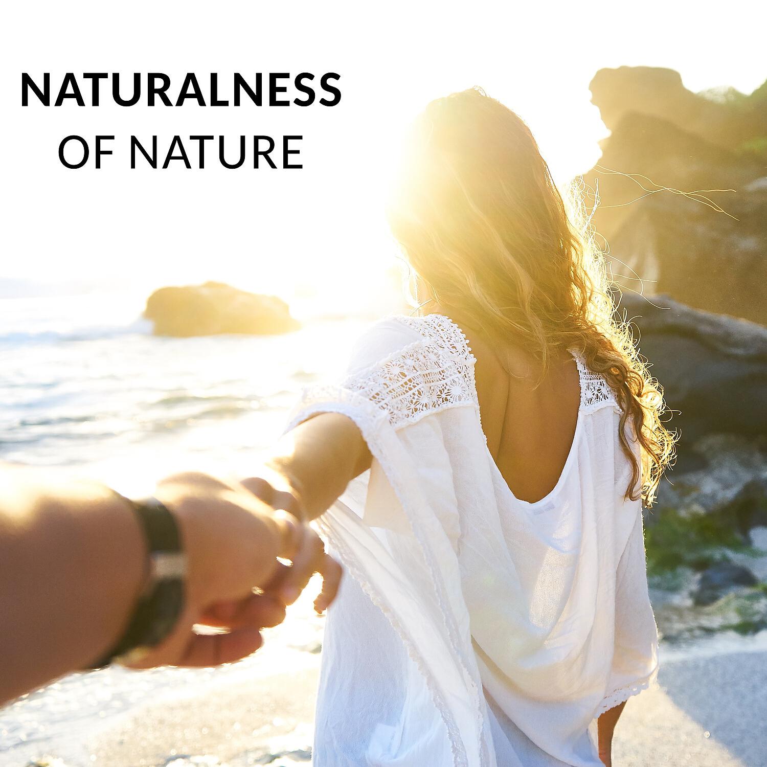Nature Music Sanctuary - Contemplation (Soft Piano)