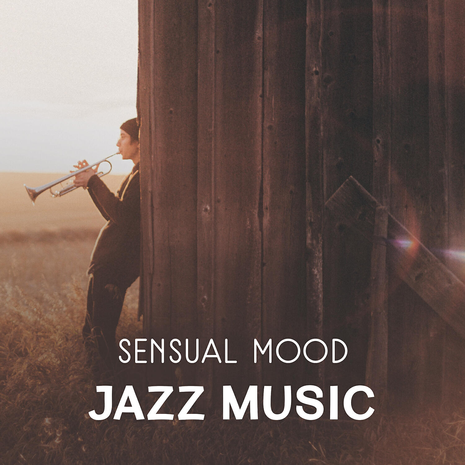 Sexy Lovers Music Collection - Sensual Soulful