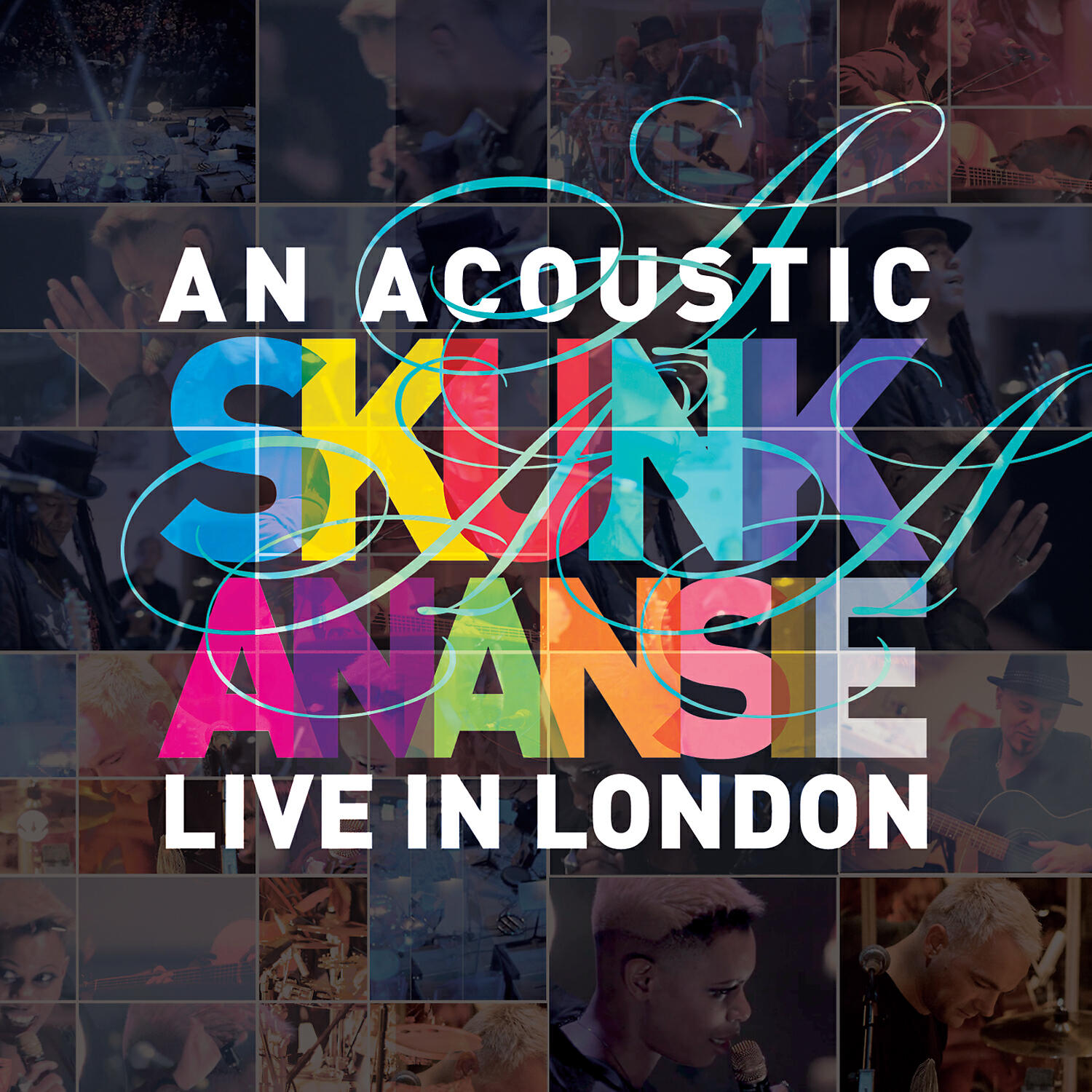 Skunk Anansie - I Believed In You (Live and Acoustic)