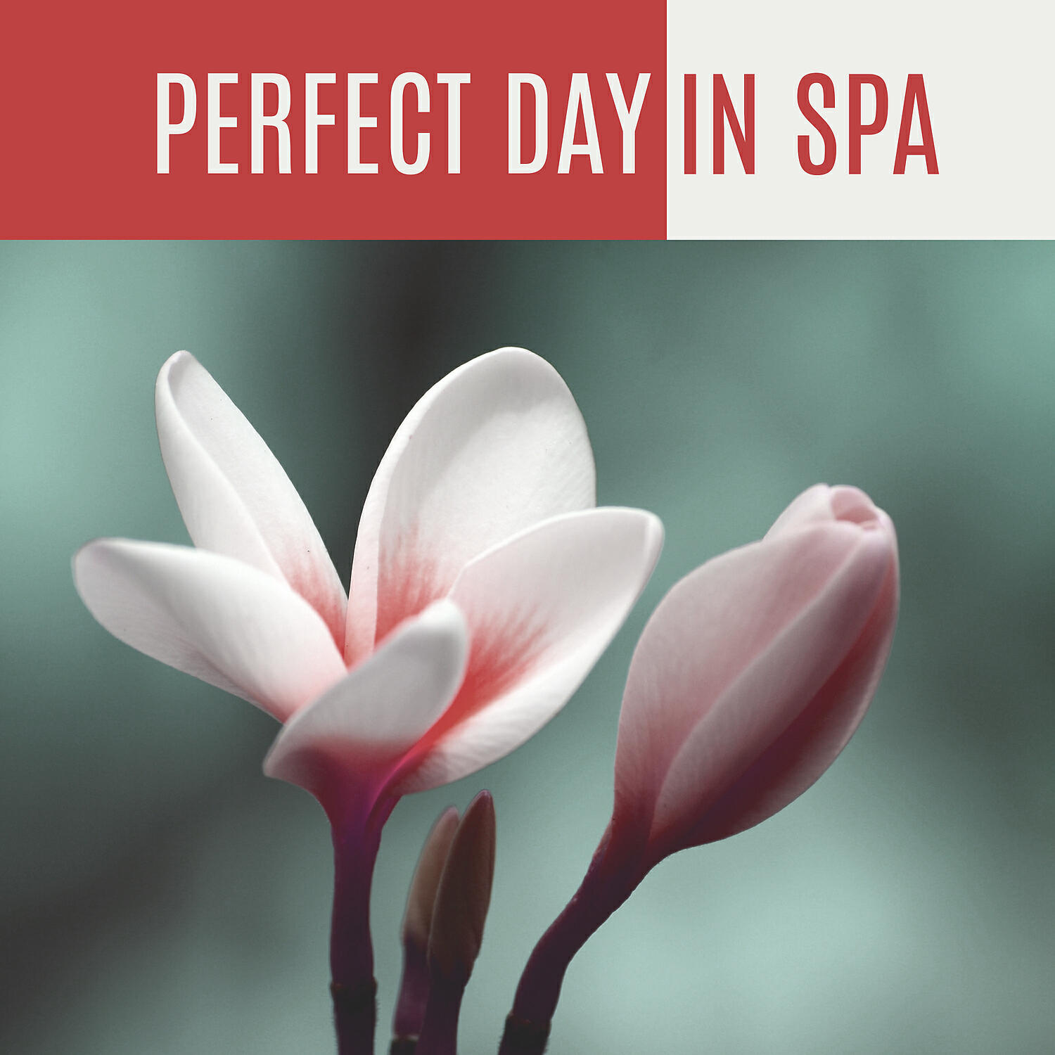 Ambient Music Therapy (Deep Sleep, Meditation, Spa, Healing, Relaxation) - Spa Dreams