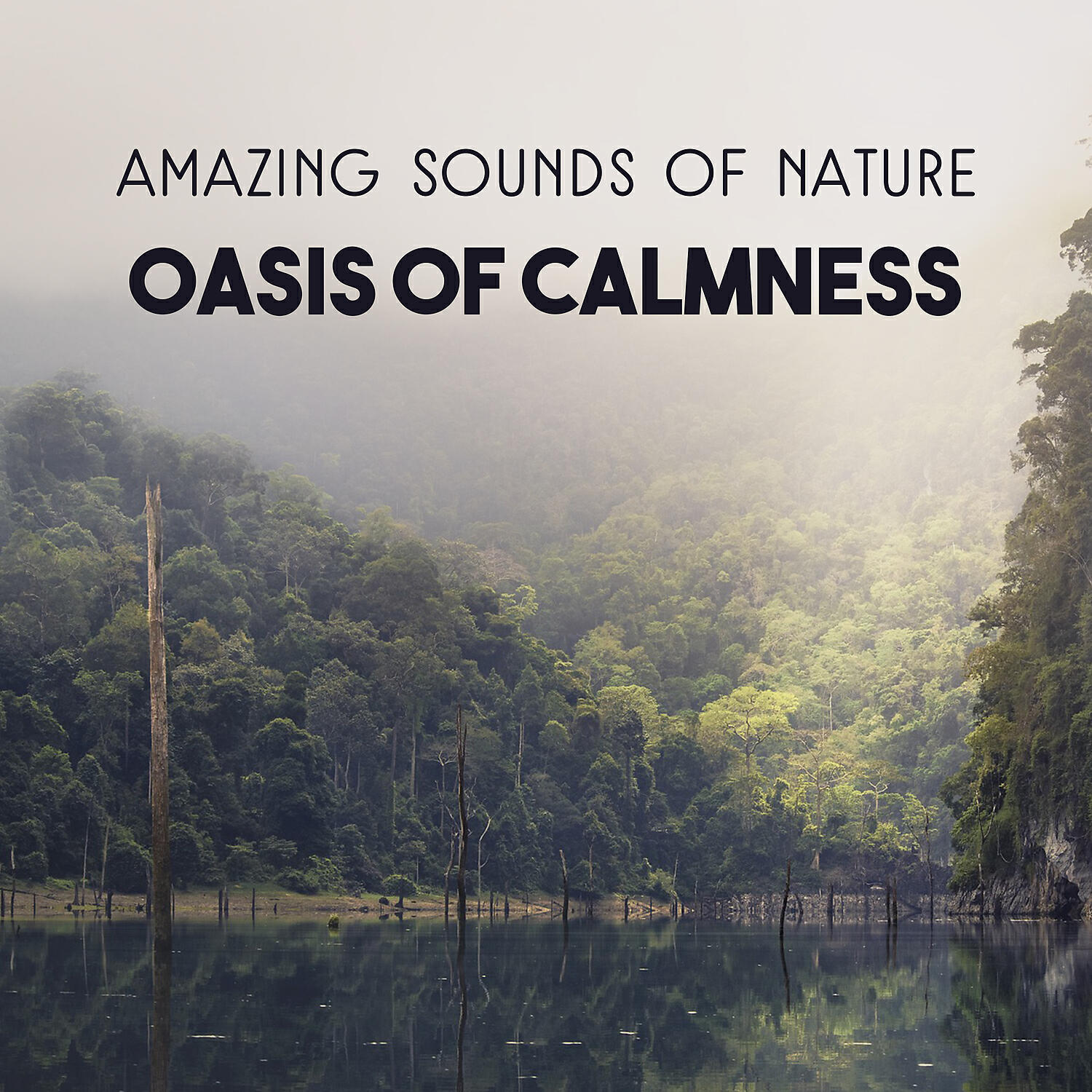 Nature Music Sanctuary - Amazing Sounds of Nature