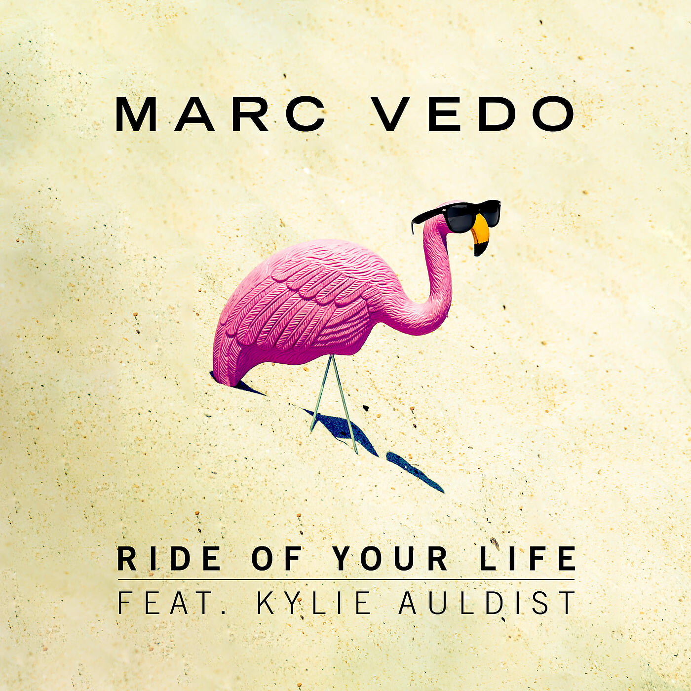 Marc Vedo - Ride of Your Life